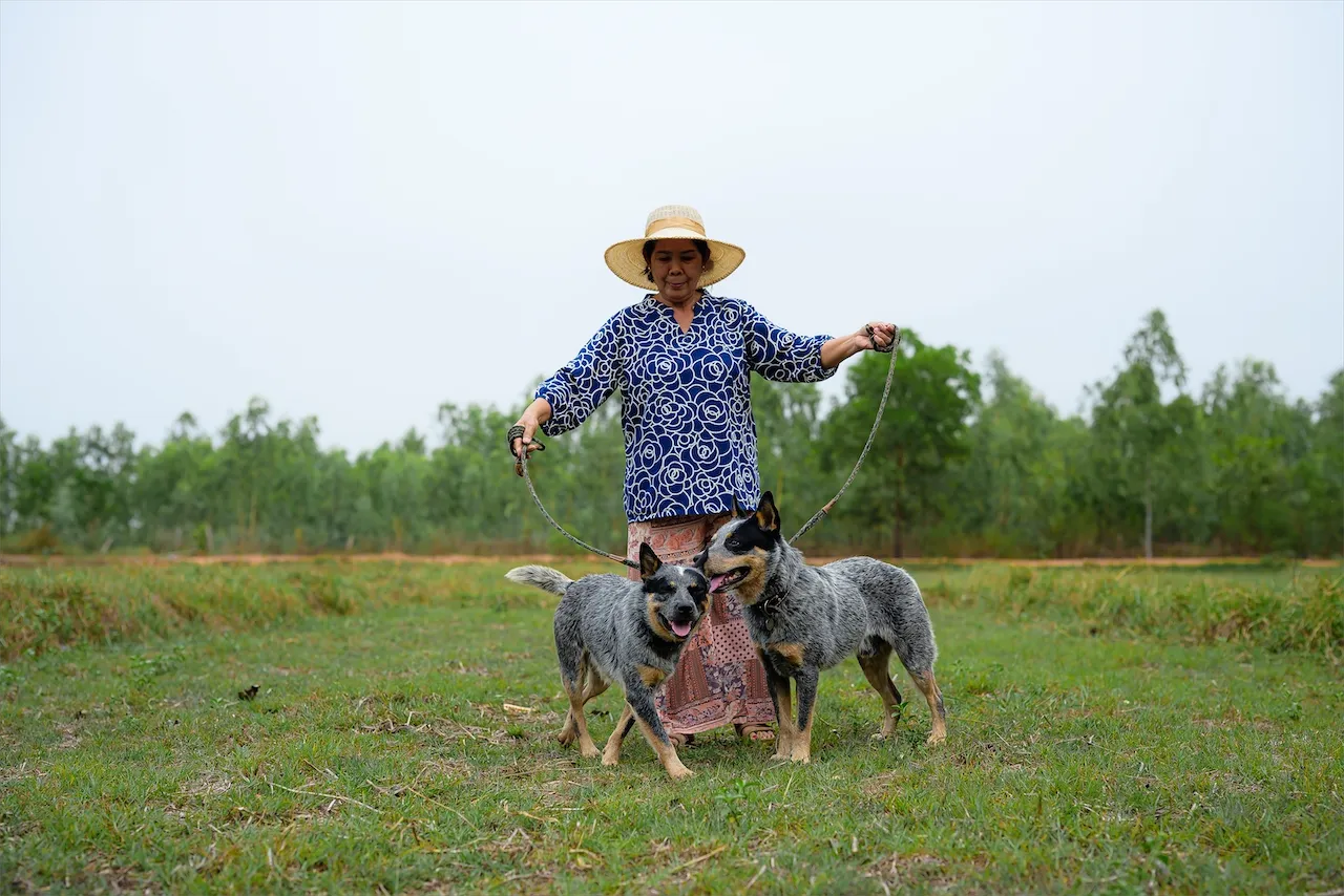 Life on the Farm